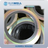 ASME B16.20 Spiral Wound Gasket