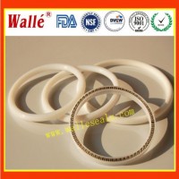 PTFE Spring Seal for Food Processing