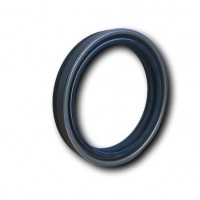 Nob Oil Seal for Benz (MAN)