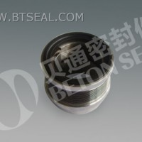 Metal Bellow Mechanical Seal (BMS) 1