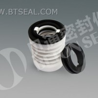 Teflon Bellow Mechanical Seals (BCY) 4