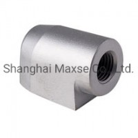 Aluminum Forging Accessories and Hot Forging Parts/Machining Parts