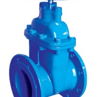 Qingdao Manufacturer BS5163/DIN3352/Awwa C515 Cast Iron Resilient Seated Gate Valves with Wras