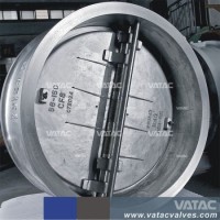 Cast Iron or Stainless Steel Lug Dual Plate Wafer Check Valve