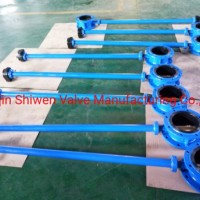 EPDM Seat Double Flange Butterfly Valve with Extended Shaft