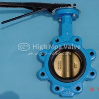 API/BS/DIN/JIS/ANSI/ASME EPDM Ptef Wafer Lug Type Soft Seat Butterfly Valve