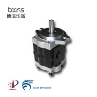 China Supply 12V Cast Iron Mechanical Cbhs-F20 Hydraulic Gear Oil Transfer Pump for Truck