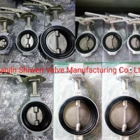 Double Half Stem Industrial Wafer Butterfly Valve with Worm Gear