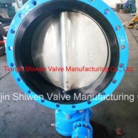 CF8 Disc Flange Butterfly Valve with Gearbox Actuator
