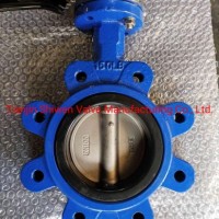 Lug Type Butterfly Valve with Lever and Gear