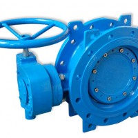 Double Eccentric Double Flange Butterfly Valve with Gearbox BS5163