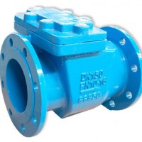 Ductile Iron Swing Check Valve BS DIN3202-F6