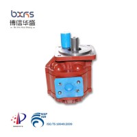 China 's Outstanding Manufacturers Oil Pump Tractor Small Mini Gear Pump