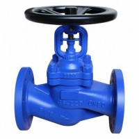 DIN Pn16 Cast Iron Bellow Seal Globe Valve