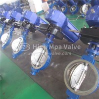 Cast Steel/Cast Iron/Carbon Steel Hydraulic Flange Type Butterfly Valve with Metal Seat