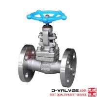 Stainless Steel Forged Flanged Globe Valve