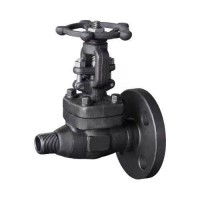 Forged Steel Flanged Globe Valve