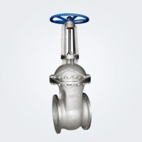 Stainless Steel Flange Wedged Gate Valve