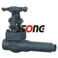 API602 Forge Steel Gate Valve with C/W Pup Pipe