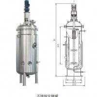 Beer Production Equipment Fermentation Tank for Wheat Beer