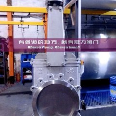 Titanium Knife Gate Valve for Water Treatment Industry图1