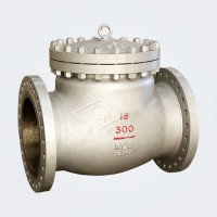 BS1868 Big Size Swing Check Valve