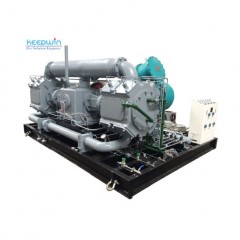 Hydrogen Gas Compressors Manufacturer for Hydrogen Refueling Stations (2D3.5W-25/9~49)图1