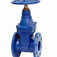 Resilient Seated Gate Valve En1074 F4 F4 BS5163 Awwac515 Awwac509 SABS664 SABS665 Pn16 250psi Flange