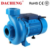 Dacheng Dcs150/2 1.1kw 1.5HP Electric Bomba Garden Pompa Centrifugal Water Pump