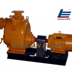 Hot Sale Self Priming Pump Set (ST) with High Quality图1