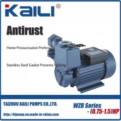 WZB Self-Priming Pump For Household图1