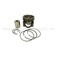 Cumins Diesel Engine Spare Part Piston Kit 4298991/2882118 for Qsx5/Isx15