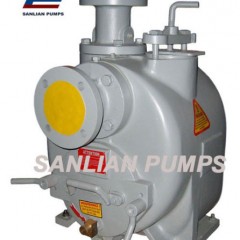 Sewage Centrifugal Water Pump (ST) with Excellent Quality图1