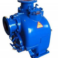 Self - Priming Sewage Pump