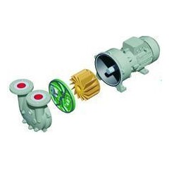 Water Ring Vacuum Pump (2BV2 061)图1