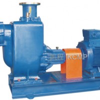 Suction Height 5.5m Zw Self Priming Sewage Pump