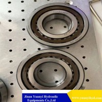 Rexroth A7vo55 A7vo80 A7vo107 A7vo160 Bearing