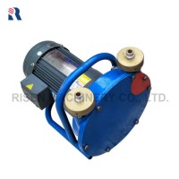 Risen Rh15 Small Squeezing Type Peristaltic Pump - Squeeze Hose Pump