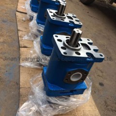 Cby3063/2010 Cby3125/3050 Double High Pressure Gear Pump图1