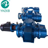 Roots Vacuum Pump (ZJB-300) Made in China