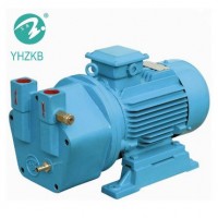 Yhzkb Shanghai Yulong Sterilization Machine / Vacuum Pump for Autoclave