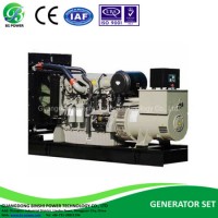 Ce Approved Perkins Large Electrical Generation / Generating Set