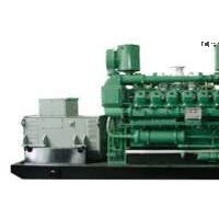 Avespeed 300kw Coke Oven Gas or Synthetical Gas Generator Set/Genset/Generating Set