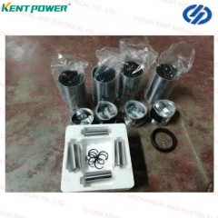 Yangdong Engine Spare Part Freewheel Assembly 08010570 Y4100d Y4102D Y4102zd Y4102zld Y4105zld Yd4ez图1