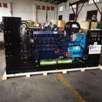 Global Warranty 250kw Weichai Natural Gas CNG Generator