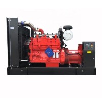 Power Plan Machines Equipment 300kw Electric Methane Natural Gas/Biogas/CNG/LPG/LNG Gas Generator Se