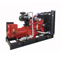 Power Plan Biogas Engine Bio Gas Generator for Sale