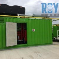 Royal Power 250kw Natural Gas Generator with Soundproof