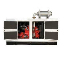 Silent 200kw Gas Engine Natural Gas Generator Set Price