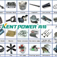 Controller/AVR/Filter/Actuator/Solenoid/Sensor/Bridge Engine Parts Power Diesel Generator Spare Part